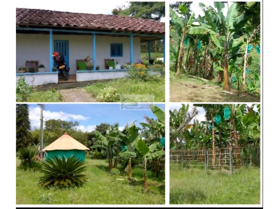 FINCA UBICADA EN CIRCASIA QUINDIO