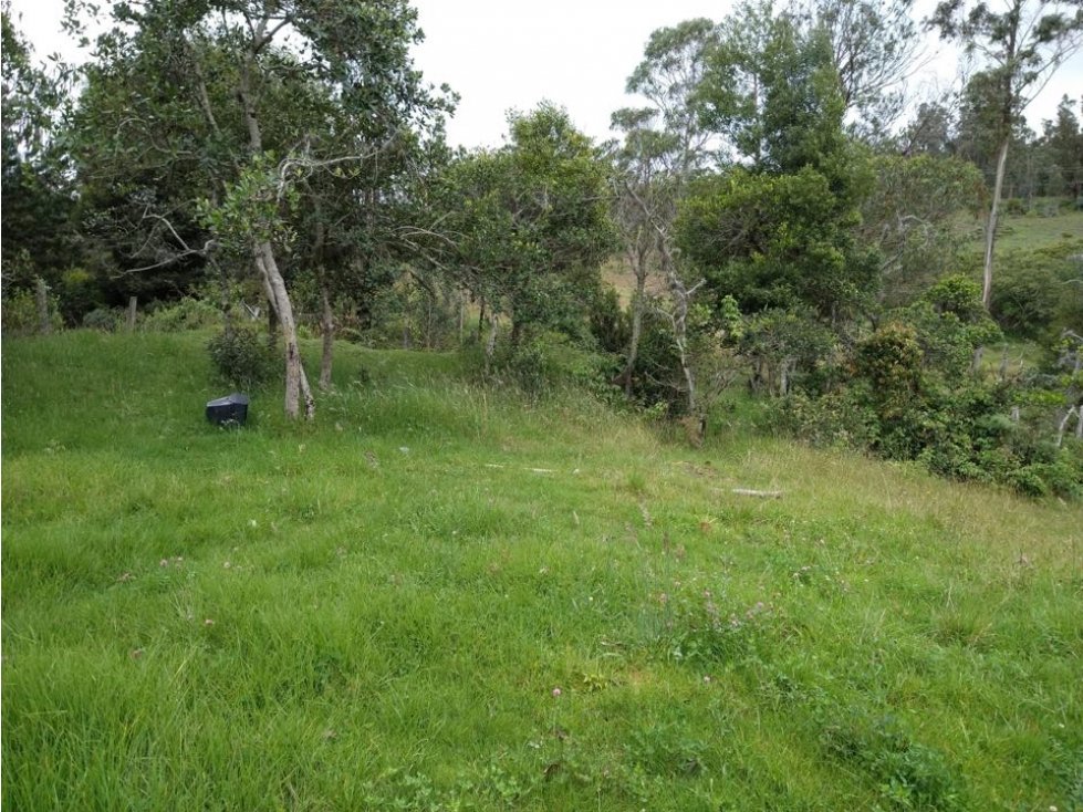Finca ubicada en el Municipio de Santa Sofía Boyaca 12.5 hectareas - 2