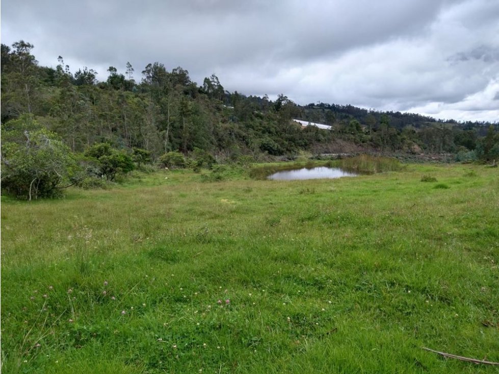 Finca ubicada en el Municipio de Santa Sofía Boyaca 12.5 hectareas - 3