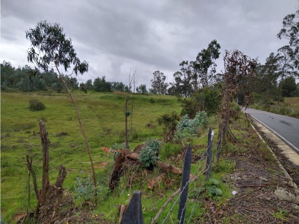 Finca ubicada en el Municipio de Santa Sofía Boyaca 12.5 hectareas - 6