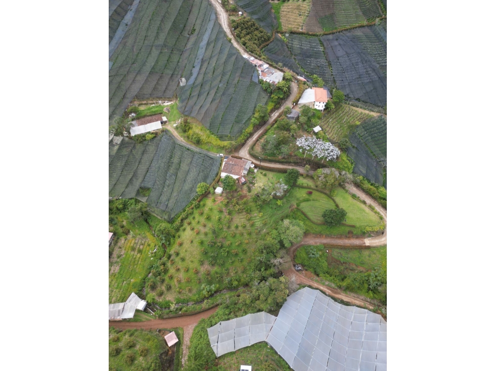 Finca ubicada en La Vereda Fátima La Ceja (Ant)