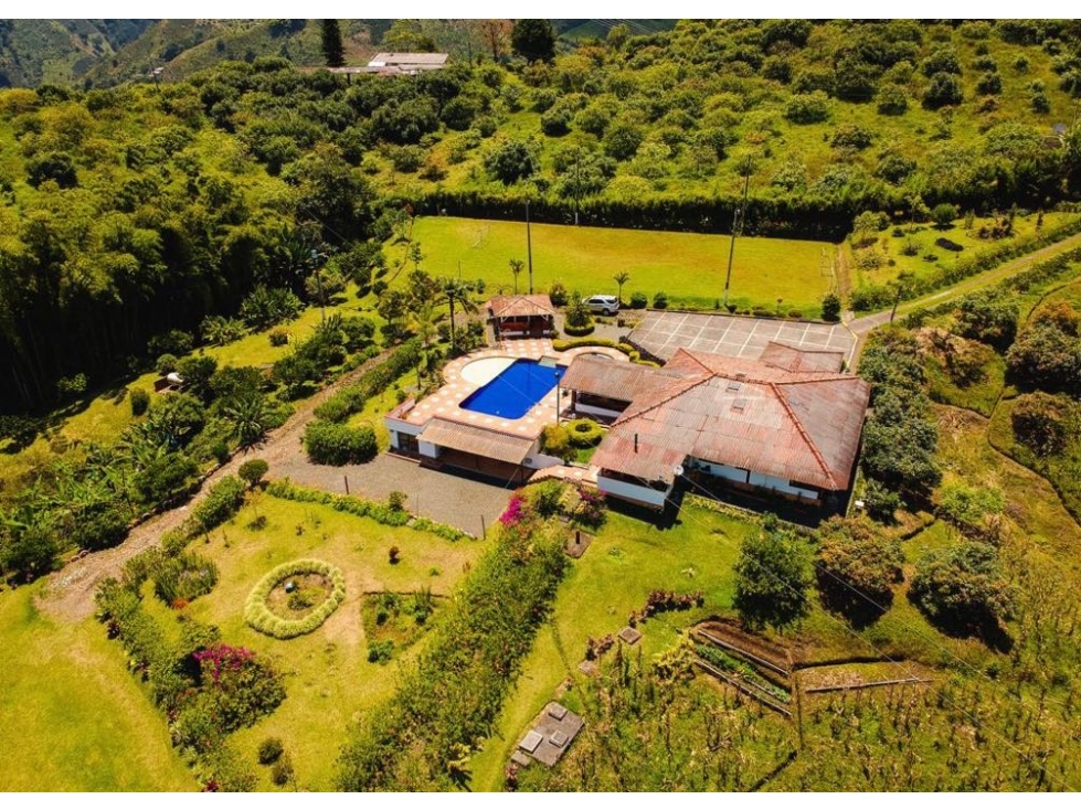 Finca en Venta Vía Armenia, Vereda El Jordán - Pereira - 16.000 m² — foto 6