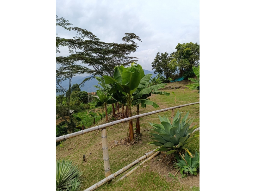 Finca Venecia — foto 6