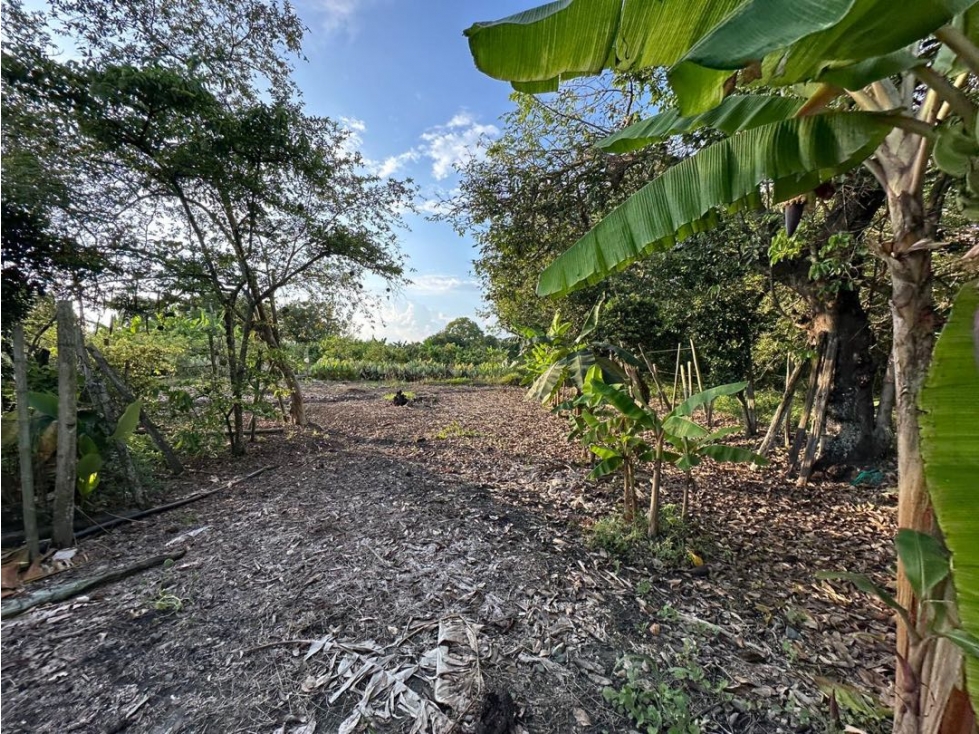Lote sobre vía, Venta Ginebra Valle - 5
