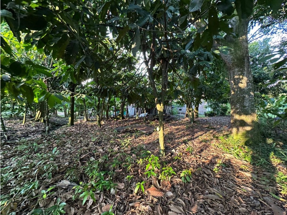 Lote sobre vía, Venta Ginebra Valle - 3