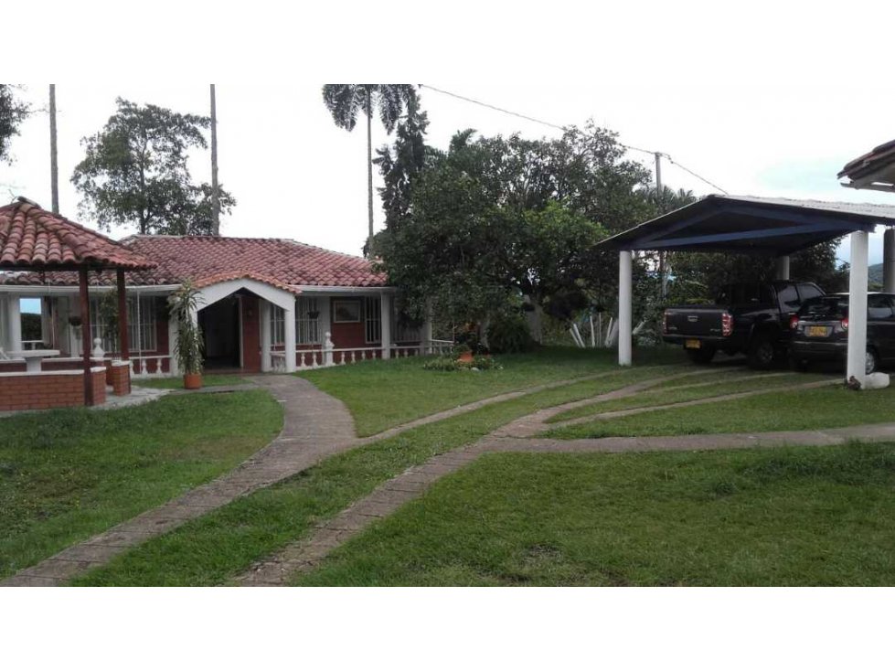 Finca Vereda Cartagena Vía La Plata Palestina - 2