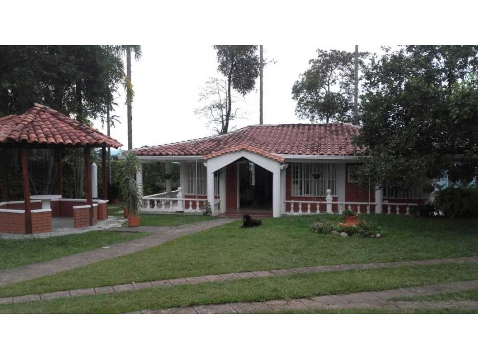 Finca Vereda Cartagena Vía La Plata Palestina - 4