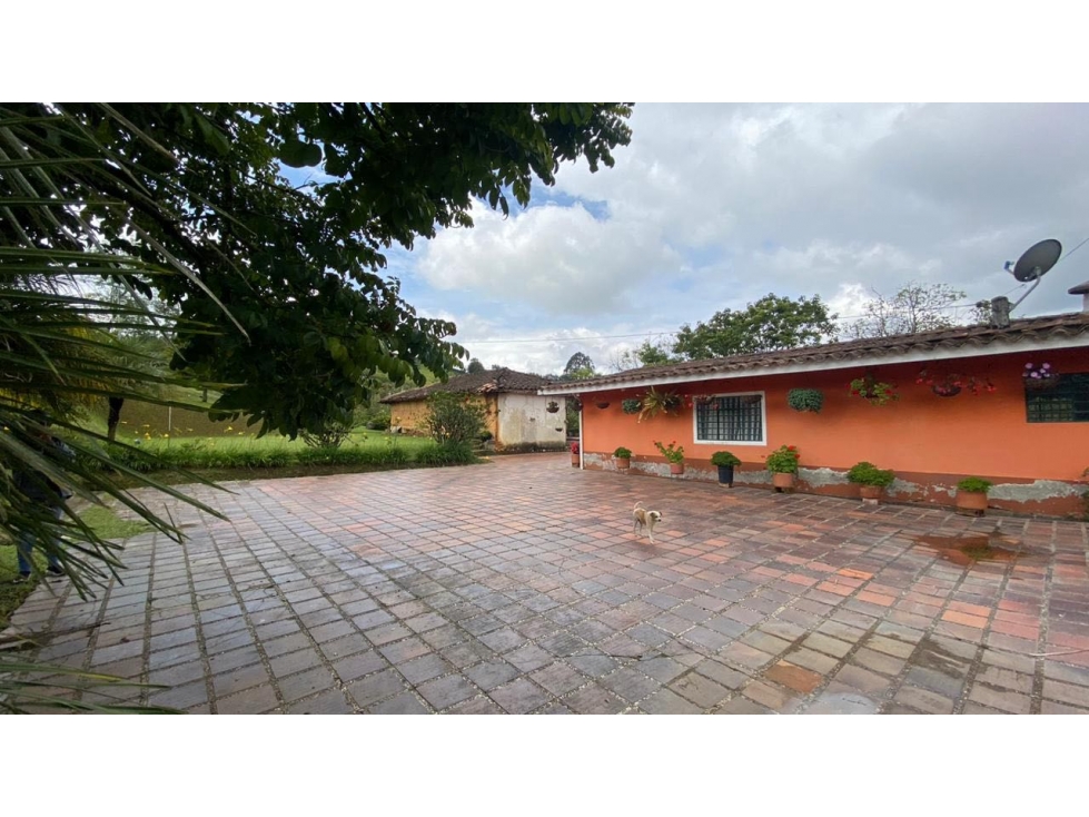 Finca vereda Guamito Guarne para subdividir — foto 2