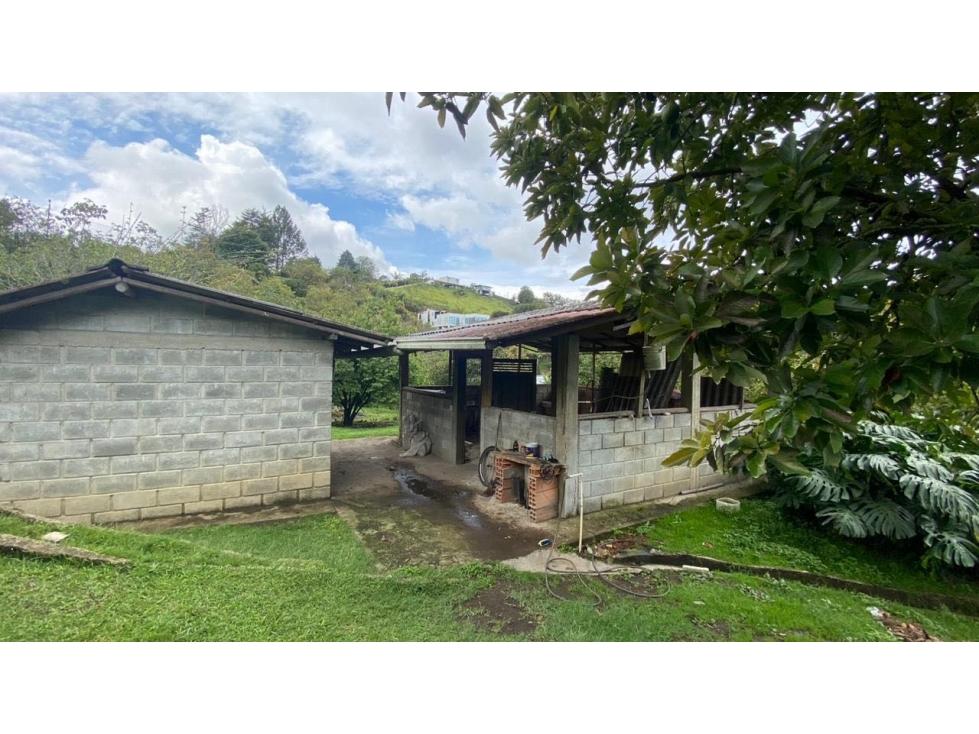 Finca vereda Guamito Guarne para subdividir — foto 5