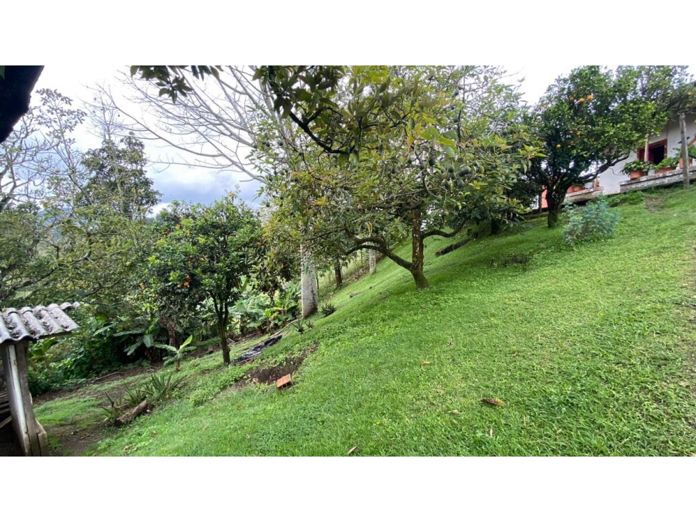 Finca vereda Guamito Guarne para subdividir — foto 6