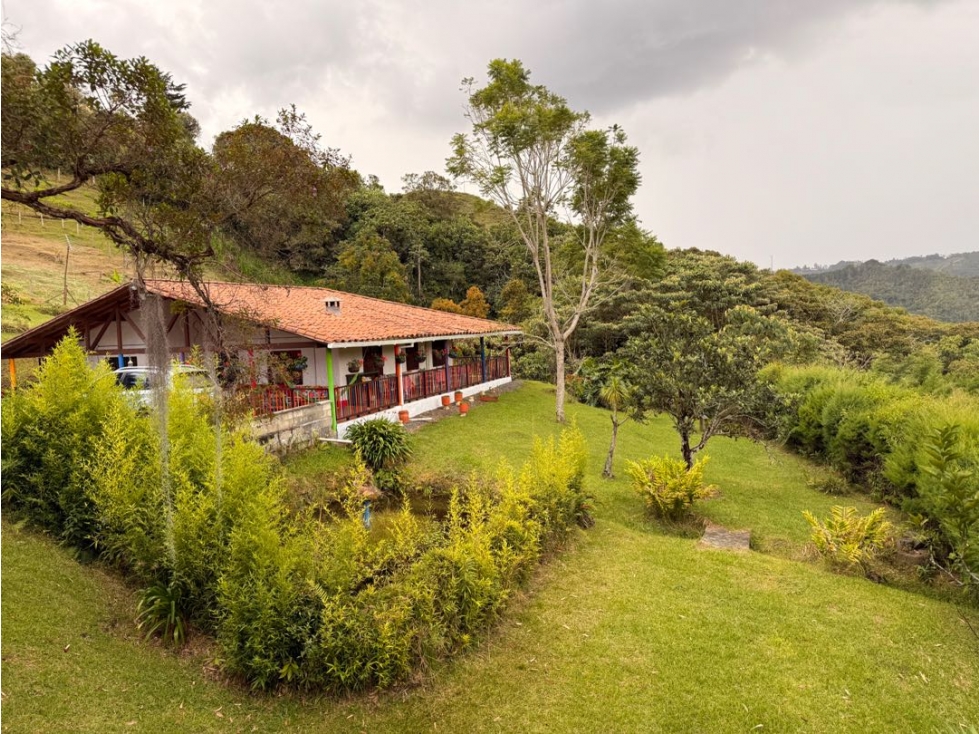 Finca Vereda La Luz