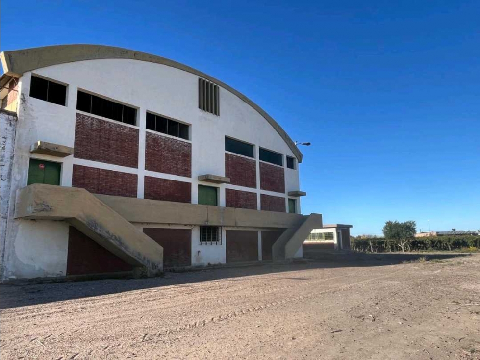 VENTA DE FINCA 96 HAS CON BODEGA - SAN MARTÍN, MENDOZA - 2