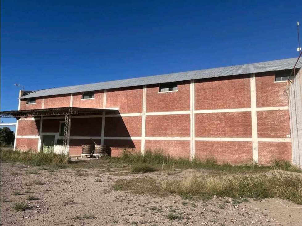 VENTA DE FINCA 96 HAS CON BODEGA - SAN MARTÍN, MENDOZA - 3