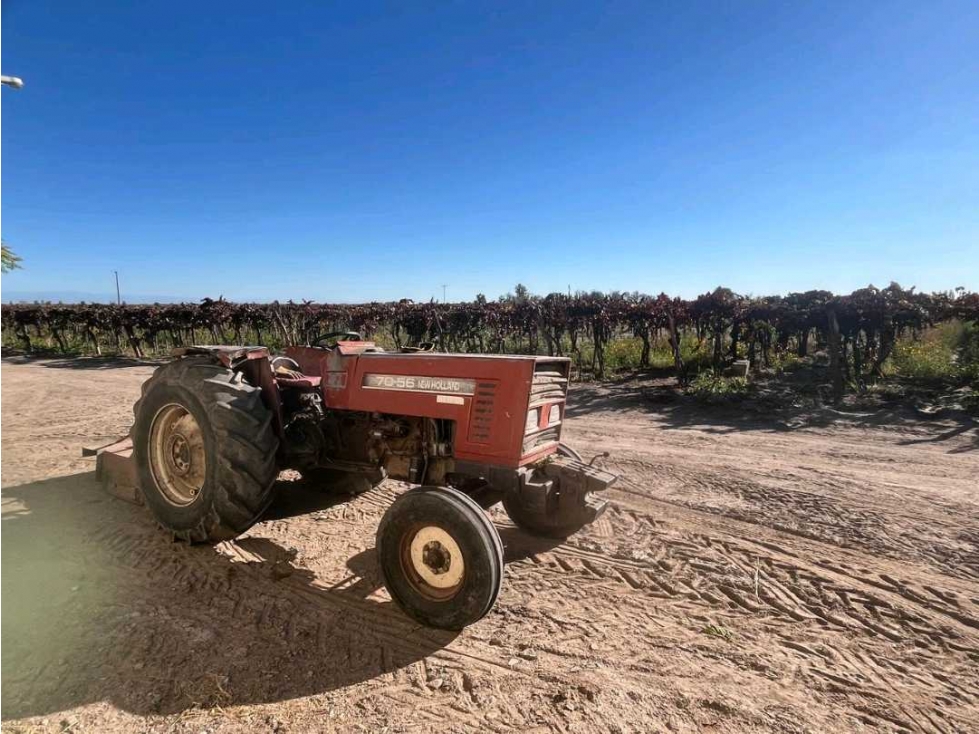 VENTA DE FINCA 96 HAS CON BODEGA - SAN MARTÍN, MENDOZA - 4