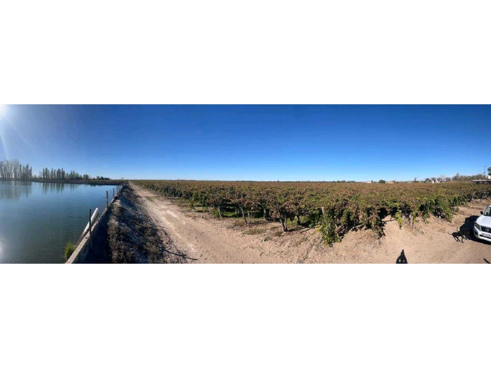 VENTA DE FINCA 96 HAS CON BODEGA - SAN MARTÍN, MENDOZA - 6