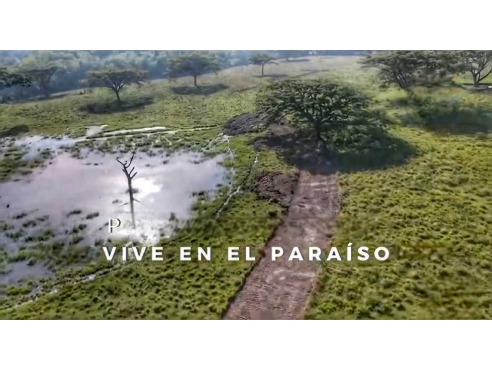 FINCA.EN CONJUNTO.CERRADO MONTENEGRO QUINDÍO - 6