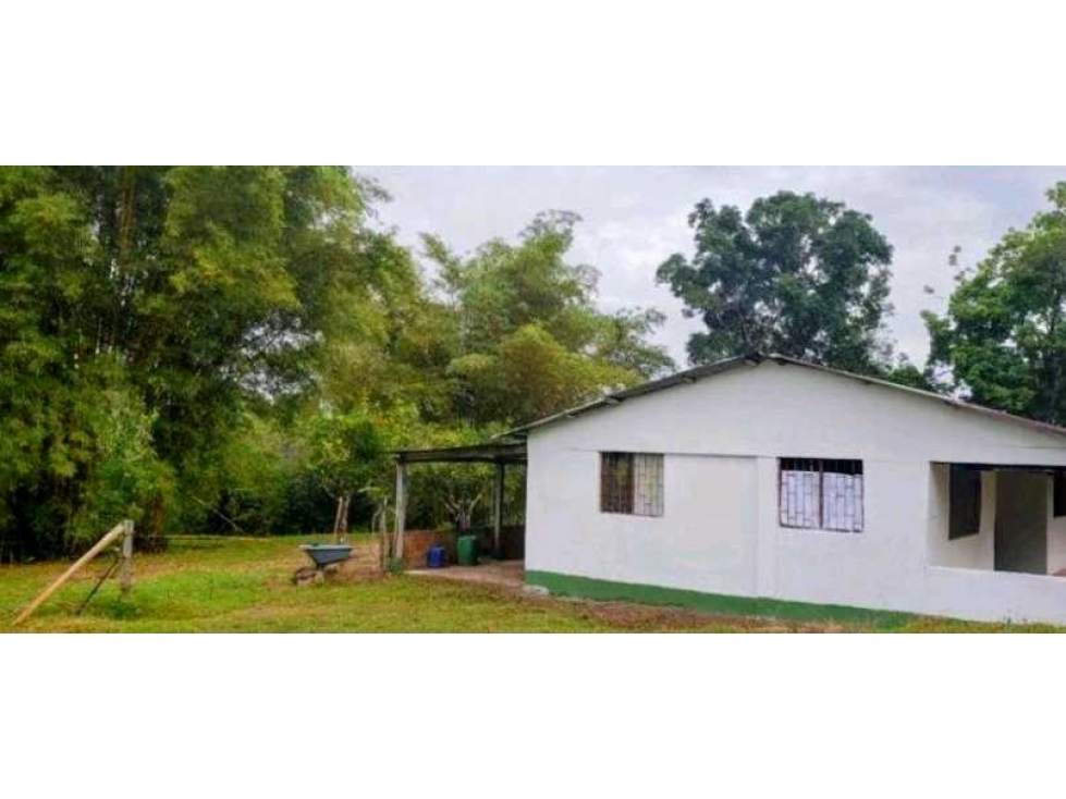 OPORTUNIDAD Venta finca (ganado) Vereda Los Andes, Vistahermosa - 4