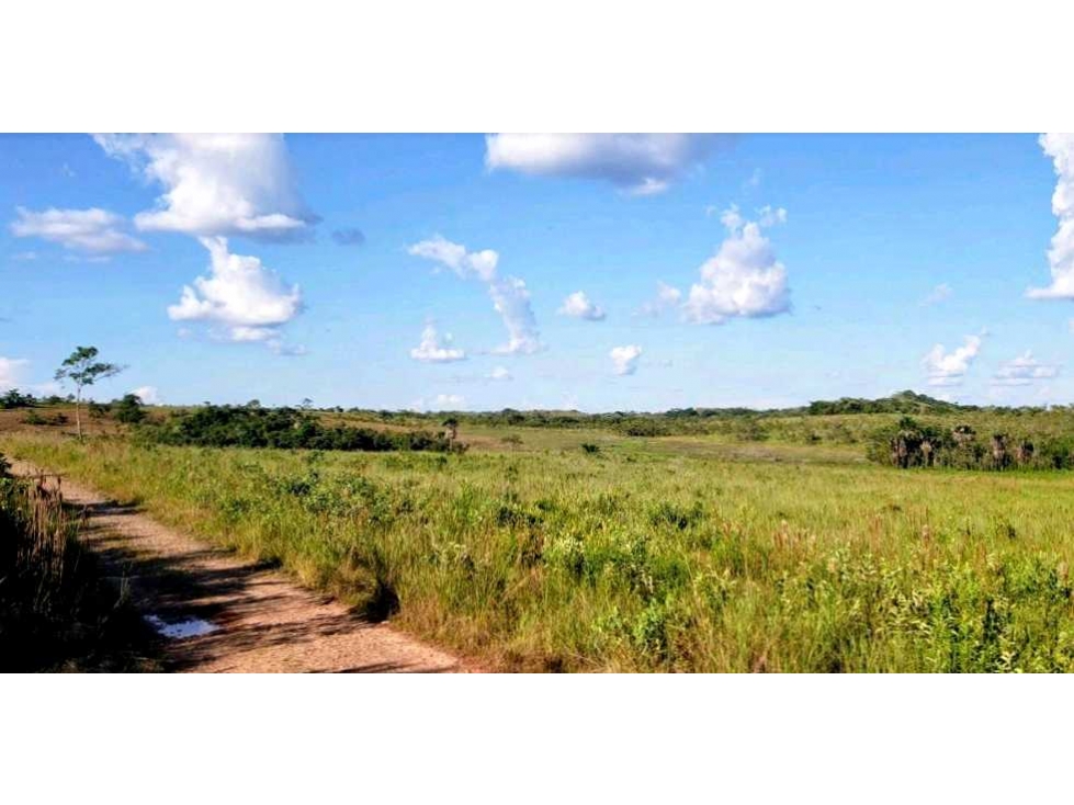 OPORTUNIDAD Venta finca (ganado) Vereda Los Andes, Vistahermosa - 3