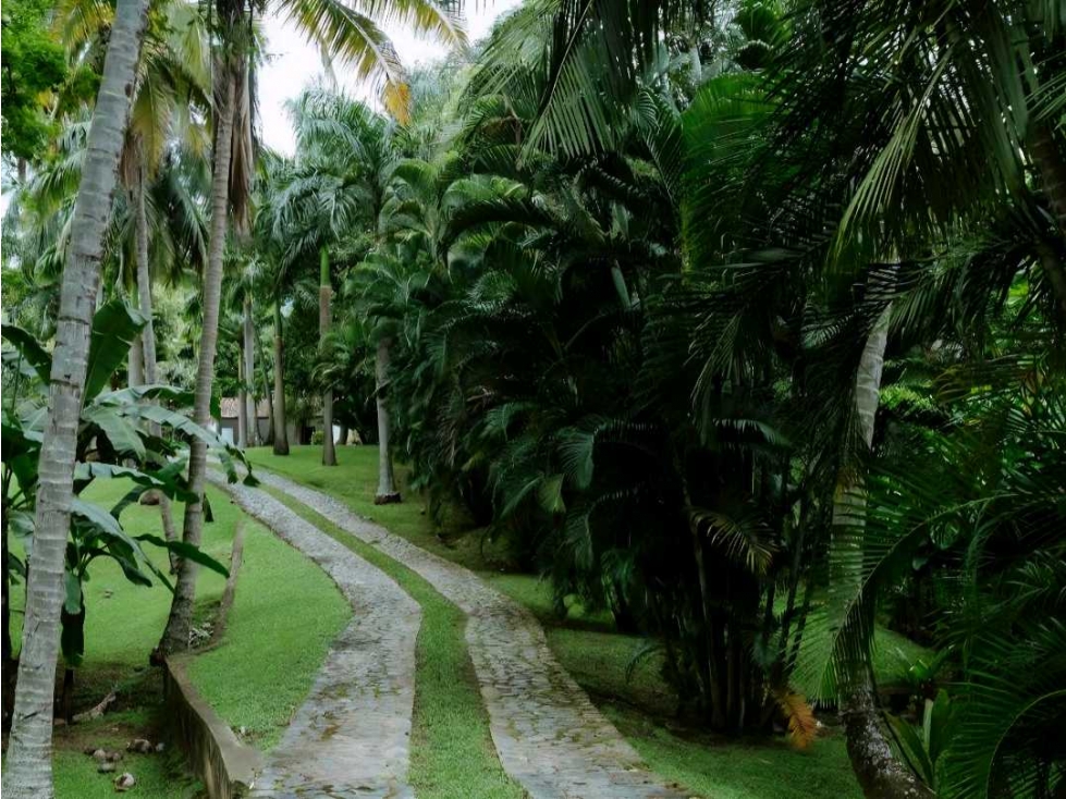 Finca/santa fe de antioquia/pan gordito — foto 2