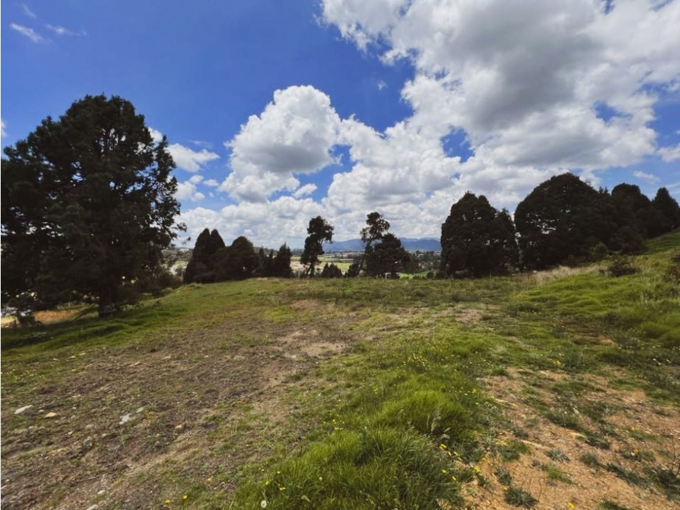 FOR SALE | Lote en el Alto de las Palmas, Envigado.
