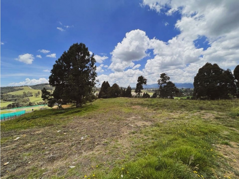FOR SALE | Lote en el Alto de las Palmas, Envigado. — foto 3