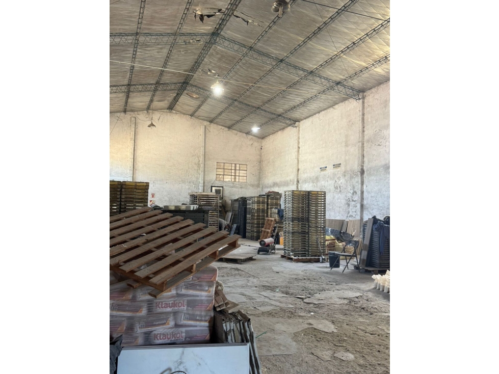 Galpón venta Rauch - Sipla - 5
