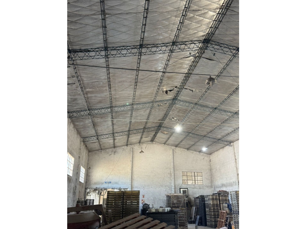 Galpón venta Rauch - Sipla - 6