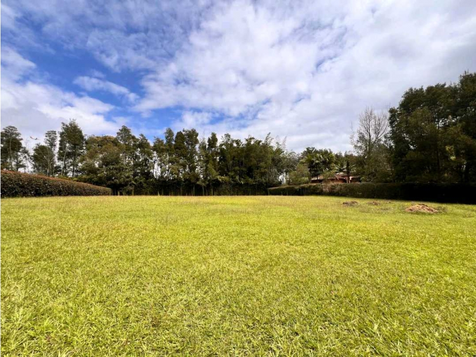 Ganga HERMOSO LOTE CAMPESTRE PLANO EN VENTA EN LLANOGRANDE Oportunidad — foto 3
