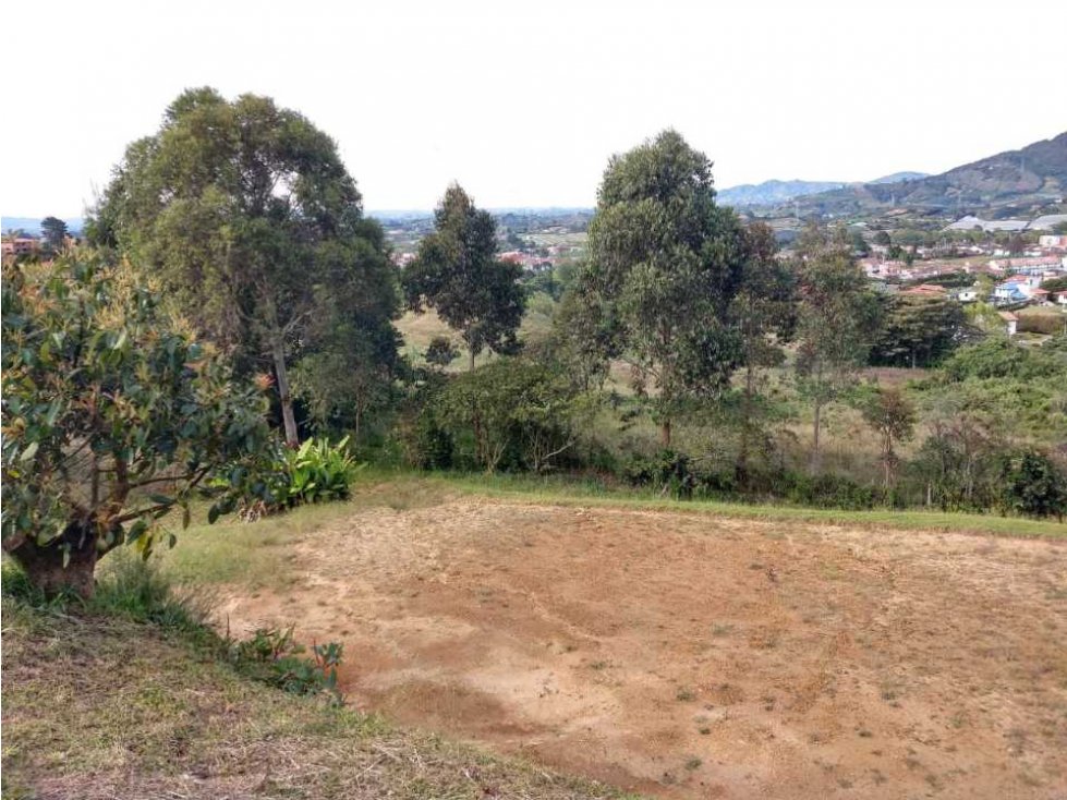 GANGA... LINDO LOTE EN VENTA EL CARMEN DE VÍBORAL