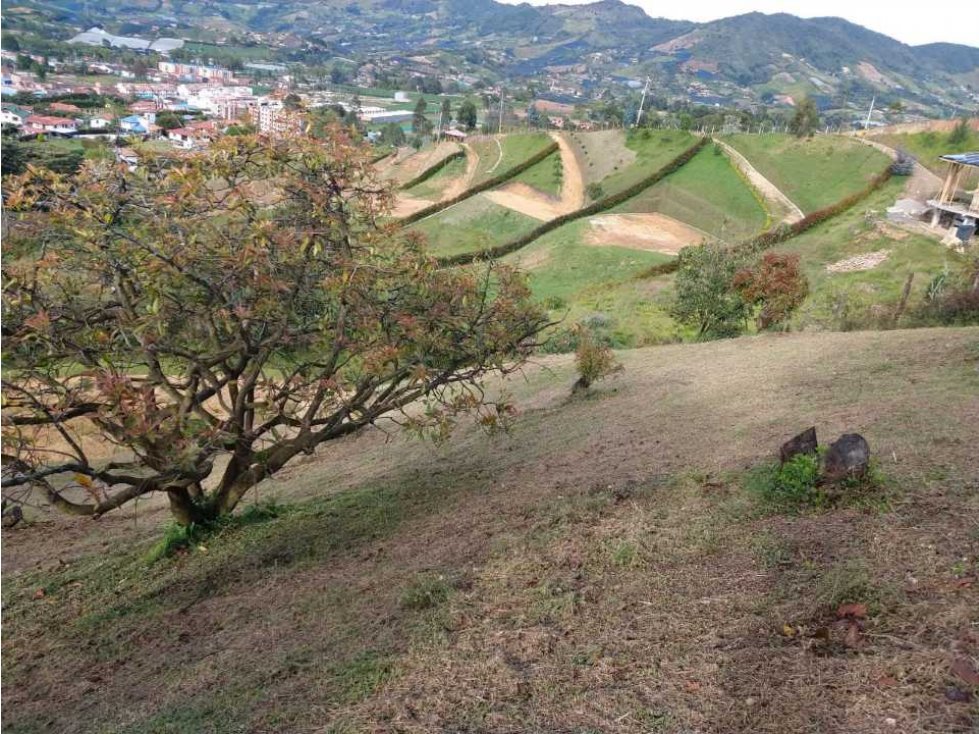 GANGA... LINDO LOTE EN VENTA EL CARMEN DE VÍBORAL — foto 2