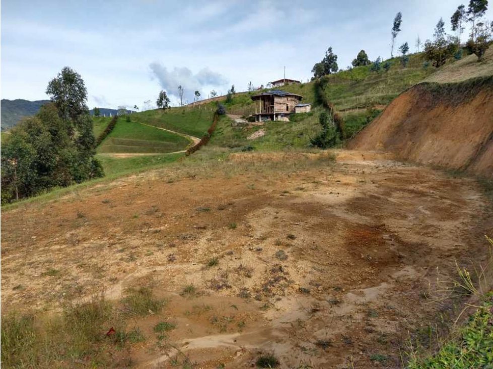 GANGA... LINDO LOTE EN VENTA EL CARMEN DE VÍBORAL — foto 4