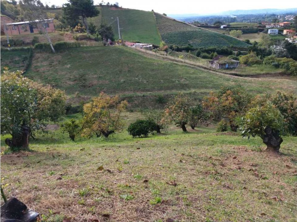 GANGA... LINDO LOTE EN VENTA EL CARMEN DE VÍBORAL — foto 5