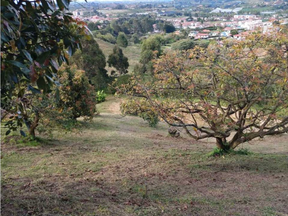 GANGA... LINDO LOTE EN VENTA EL CARMEN DE VÍBORAL — foto 6