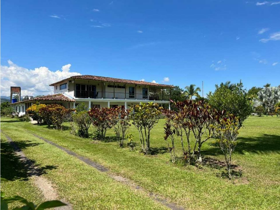 Finca Lote Comercial Santagueda Palestina Caldas - 5