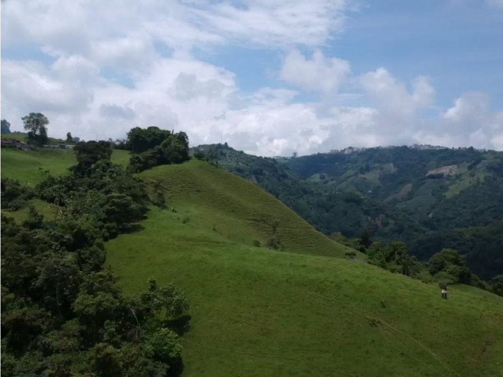 Lote Desarrollo Vivienda Interés Social Manizales