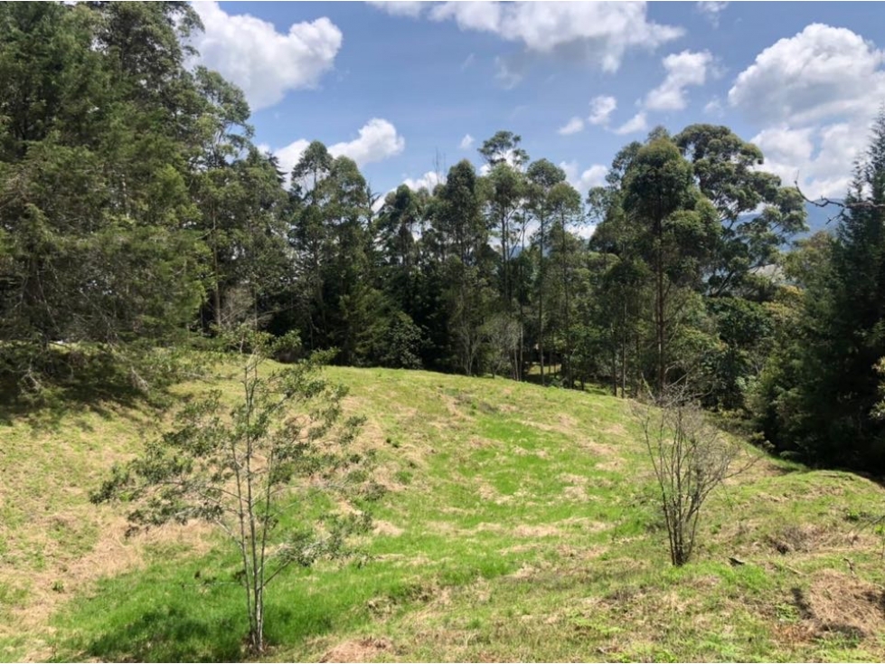 Lote para la Venta en El Capiro Vía San Antonio La Ceja — foto 5