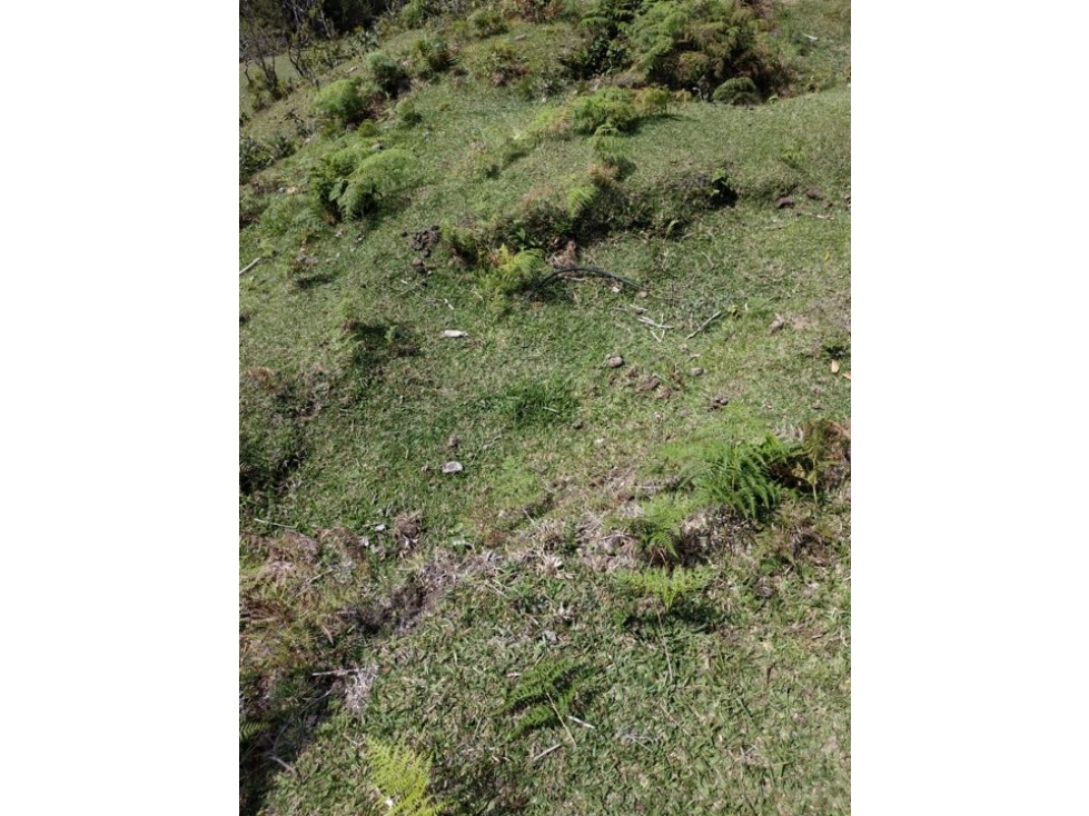 Lote para La Venta en Guatape — foto 2
