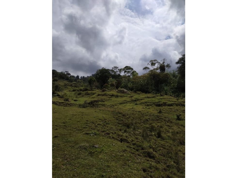 Lote para La Venta en Guatape — foto 3