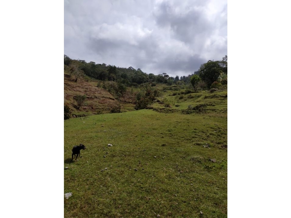 Lote para La Venta en Guatape — foto 4