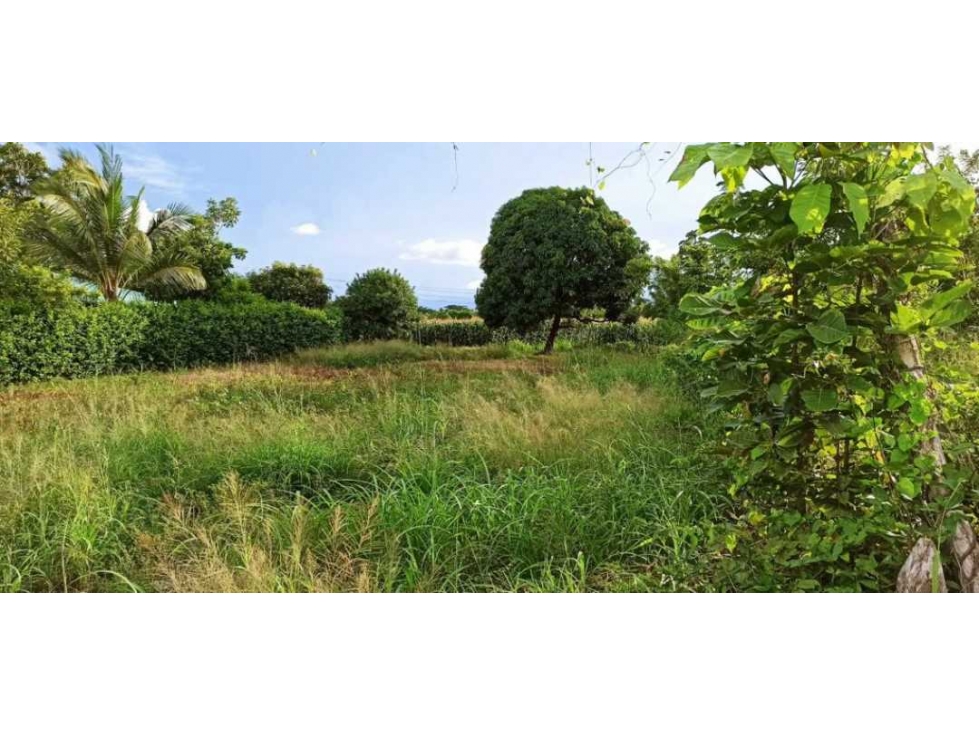 GRAN OPORTUNIDAD EN VENTA 4 HECTAREAS AGUAS NEGRAS MONTERÍA