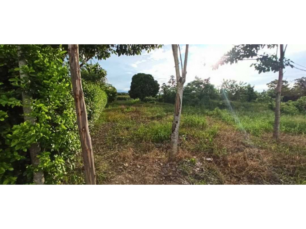 GRAN OPORTUNIDAD EN VENTA 4 HECTAREAS AGUAS NEGRAS MONTERÍA — foto 2