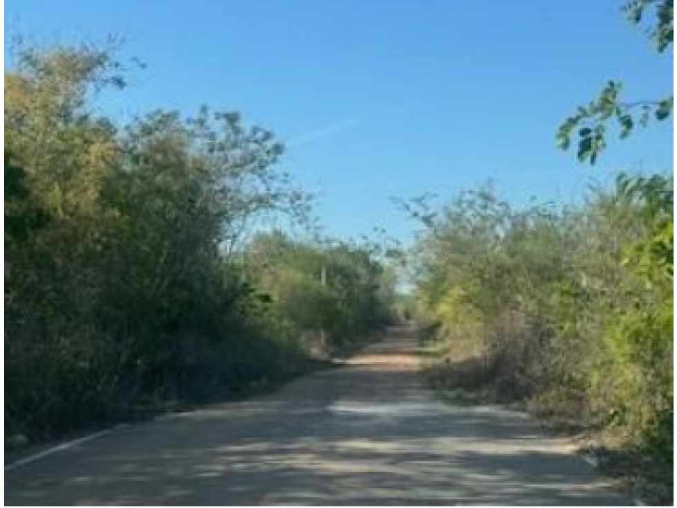 Gran Oportunidad de Inversión: Terreno de 3.3 Hectáreas en Chablekal
