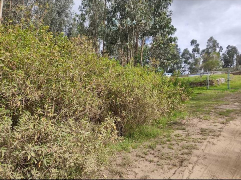 ¡GRAN OPORTUNIDAD EN VENTA EN GUACHALA CAYAMBE! - 3