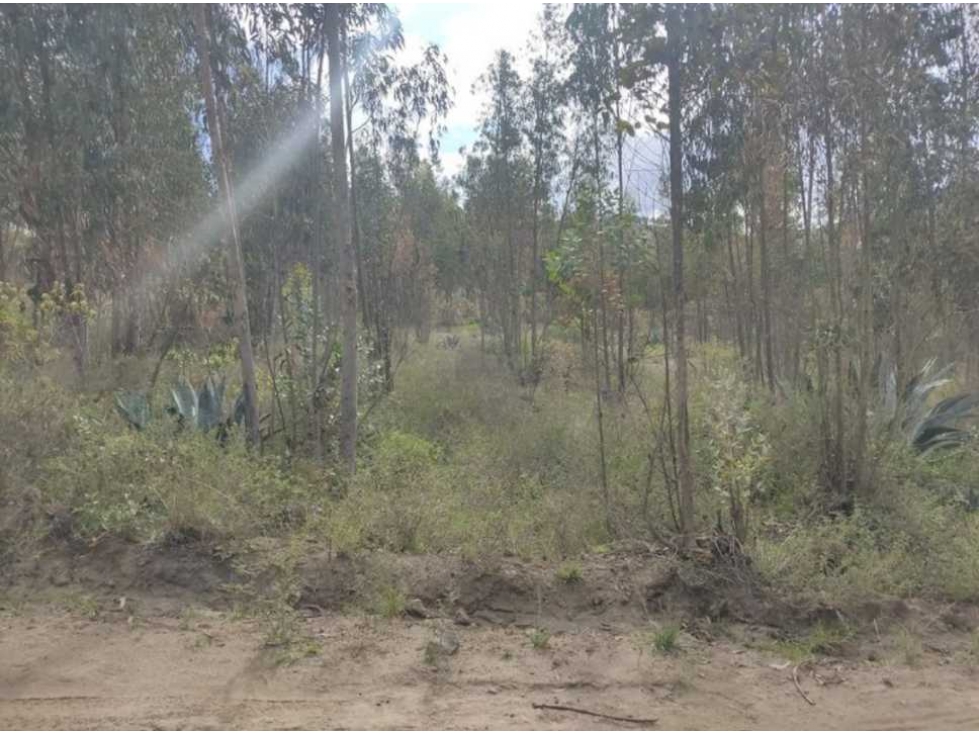 ¡GRAN OPORTUNIDAD EN VENTA EN GUACHALA CAYAMBE! - 4