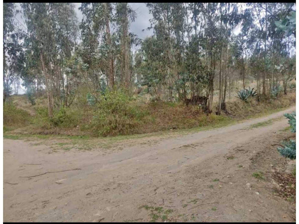 ¡GRAN OPORTUNIDAD EN VENTA EN GUACHALA CAYAMBE! - 5