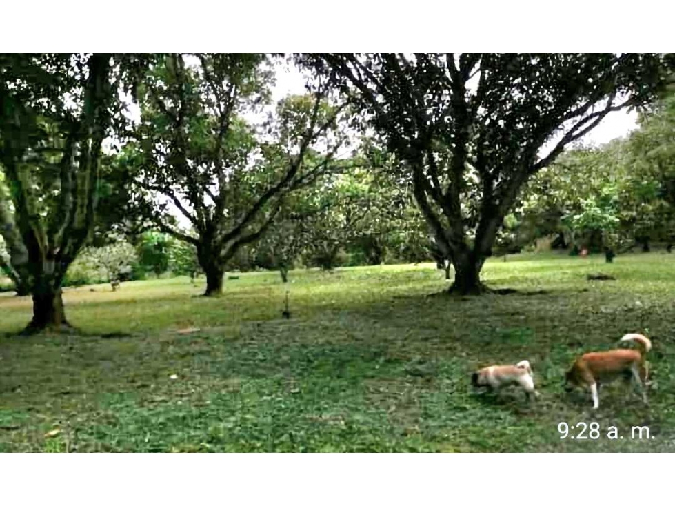 EXCELENTE FINCA EN SAN JERONIMO — foto 3