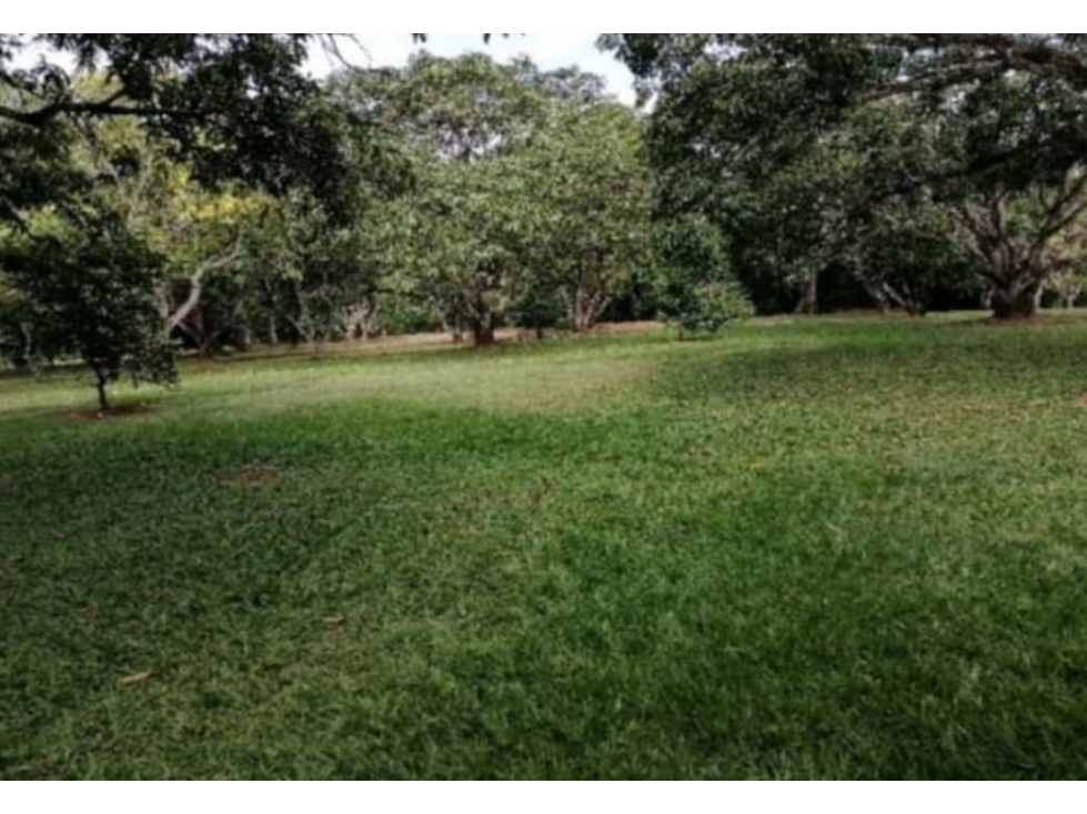 EXCELENTE FINCA EN SAN JERONIMO — foto 5