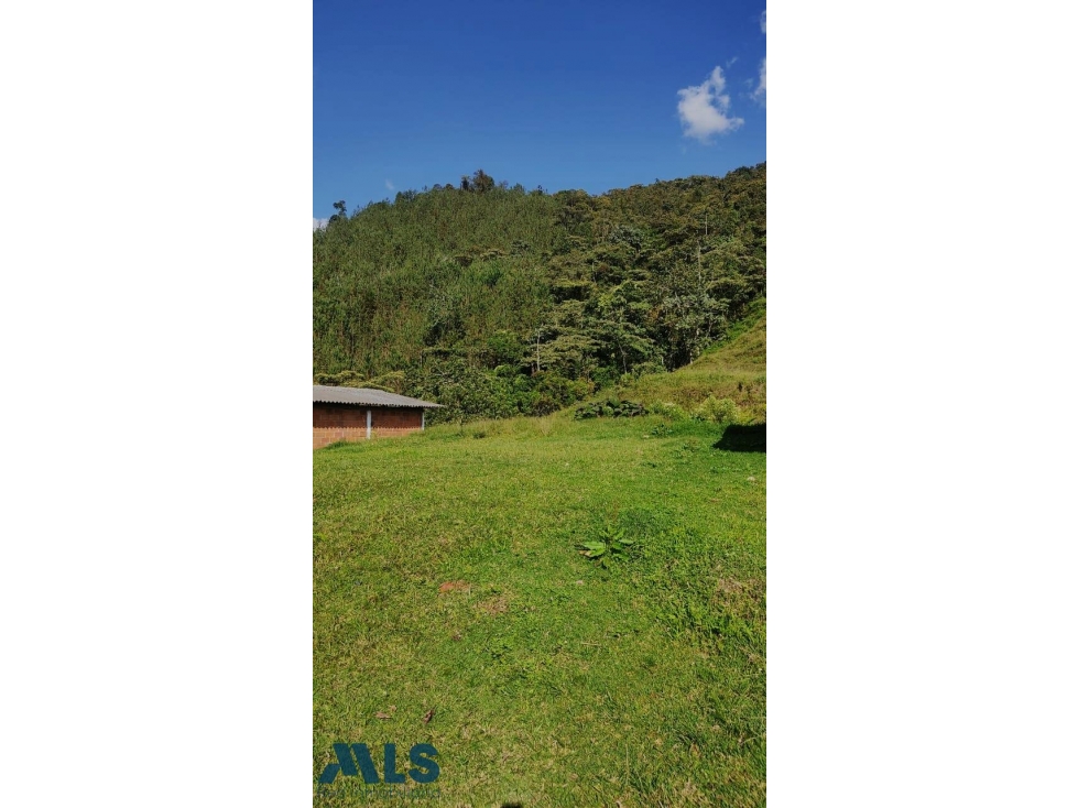 Gran Oportunidad Inversión Caldas, Antioquia!(MLS#256536) - 3