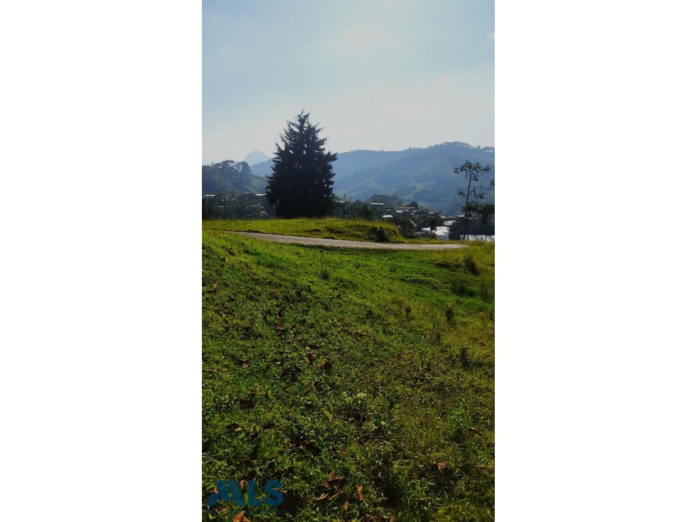 Gran Oportunidad Inversión Caldas, Antioquia!(MLS#256536) - 4
