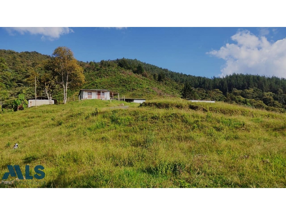 Gran Oportunidad Inversión Caldas, Antioquia!(MLS#256536) - 5